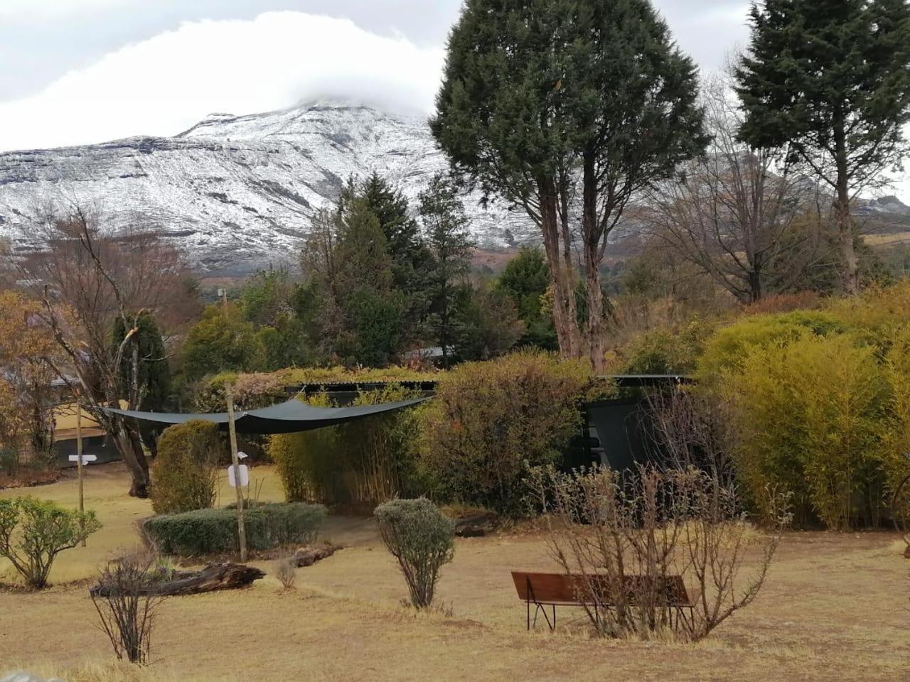 Gentle Presence Cottages Clarens Szoba fotó